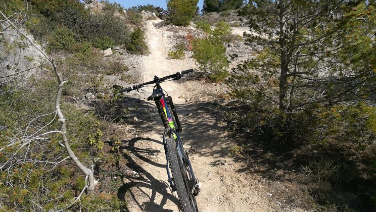 Cavo d’acciaio tra due alberi lungo il sentiero dei ciclisti: caccia agli autori del folle gesto - Corriere Salentino