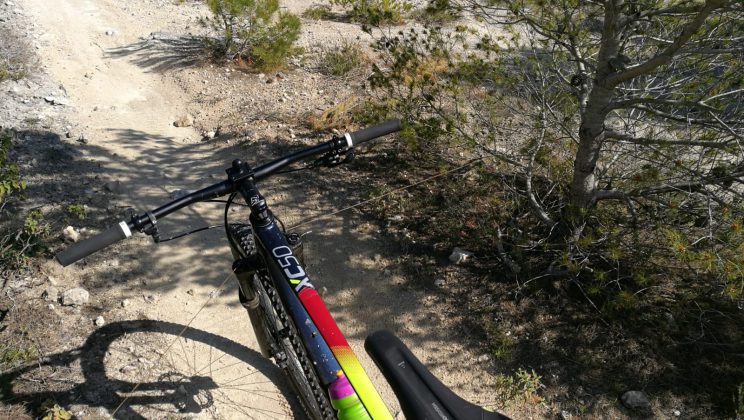 Cavo d’acciaio tra due alberi lungo il sentiero dei ciclisti: caccia agli autori del folle gesto - Corriere Salentino