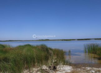 Coldiretti, con 245mila ettari aree naturali protette la Puglia tra le regioni più green d’Italia