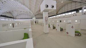 Vaccini, la Puglia continua a correre forte: somministrate oltre mezzo milione di dosi - Corriere Salentino