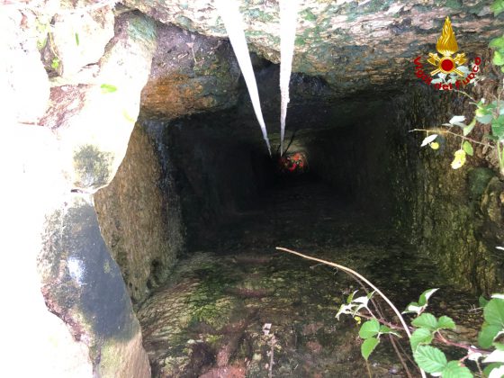 Si perde durante il pascolo, il pastore torna a cercarla e la trova in un pozzo: capretta salvata dai vigili del fuoco - Corriere Salentino