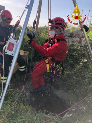 Si perde durante il pascolo, il pastore torna a cercarla e la trova in un pozzo: capretta salvata dai vigili del fuoco - Corriere Salentino
