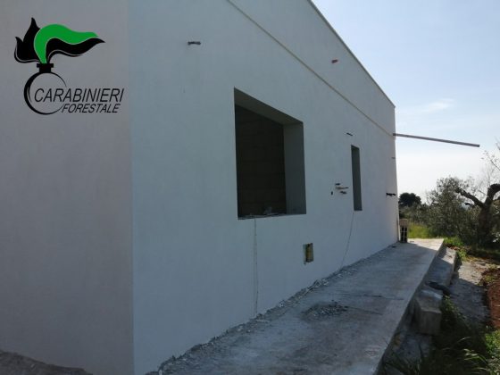 Lavori difformi o eseguiti senza permessi, i Forestali denunciano cinque persone - Corriere Salentino