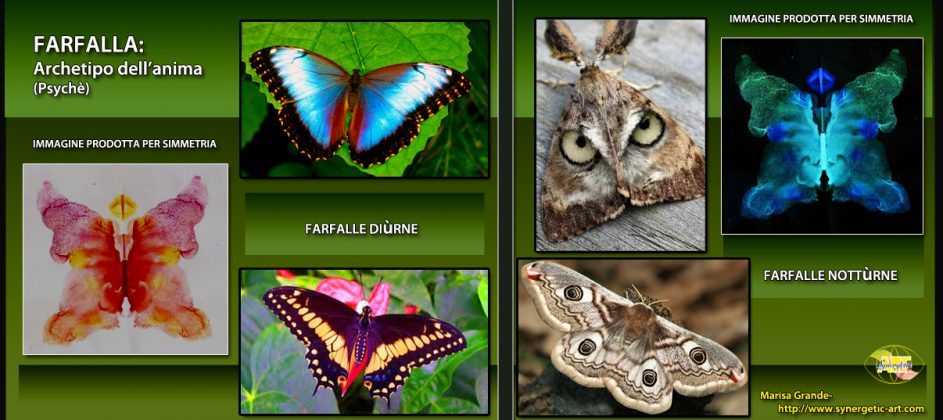 La Farfalla Magura - Corriere Salentino