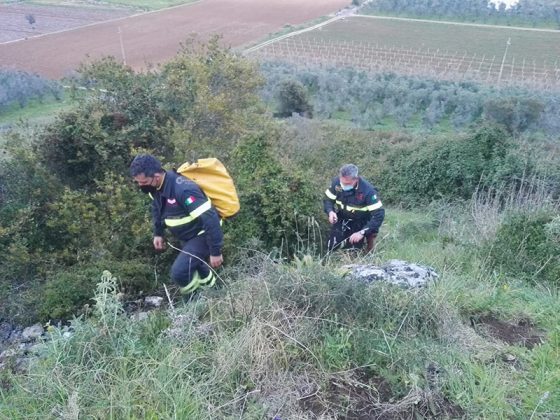 Tenta di recuperare l’aquilone, precipita nel dirupo per 8 metri: 45enne al Fazzi con codice rosso - Corriere Salentino