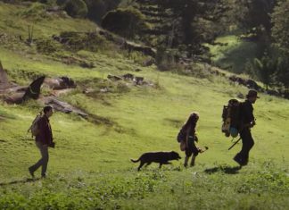 Il film della settimana: “Love and Monsters”