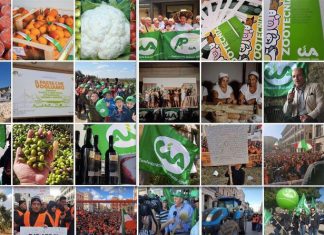 Cia Puglia: “E’ l’agricoltura il più grande datore di lavoro della regione, con 112mila addetti superiamo Ilva e Fiat”