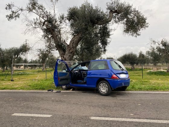 Esce fuori strada e si schianta contro un ulivo: nulla da fare per un anziano automobilista - Corriere Salentino