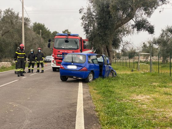 Esce fuori strada e si schianta contro un ulivo: nulla da fare per un anziano automobilista - Corriere Salentino