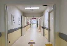 cancro cavo orale, fdi: “serve un programma regionale di screening per salvare vite e garantire diagnosi precoci” Salute - Corriere Salentino