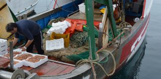 Home - Corriere Salentino