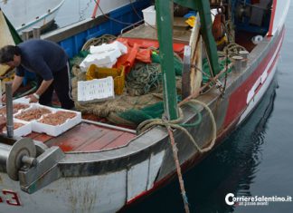 Caro carburante, l’effetto domino arriva in mare