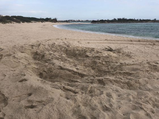 Trasferta folle: rally spericolato col suv tra le dune della spiaggia protetta. Denuncia e multa - Corriere Salentino