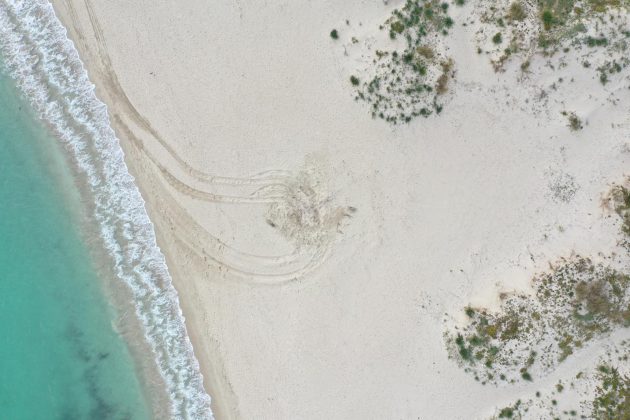 Trasferta folle: rally spericolato col suv tra le dune della spiaggia protetta. Denuncia e multa - Corriere Salentino