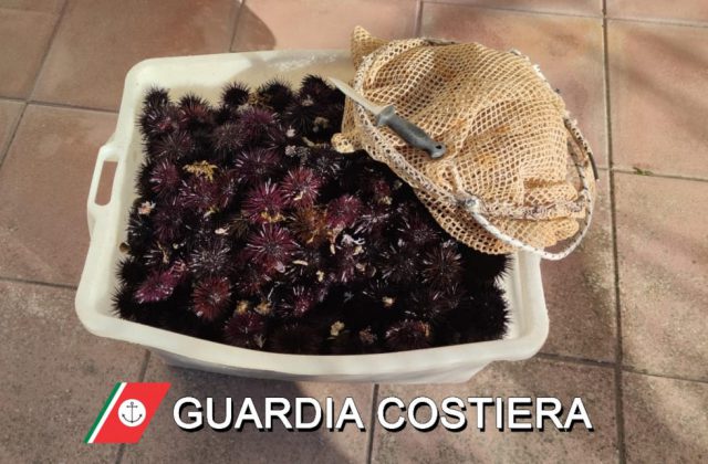 A pesca di ricci nell'area marina protetta: telecamere e drone lo incastrano. Denunciato sub - Corriere Salentino