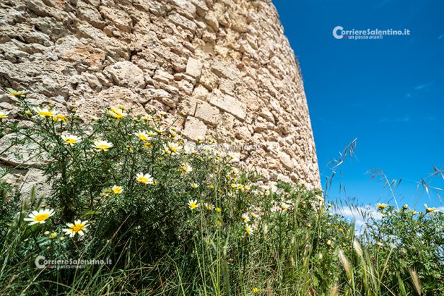 Alla scoperta del Salento: Torre Chianca - Corriere Salentino