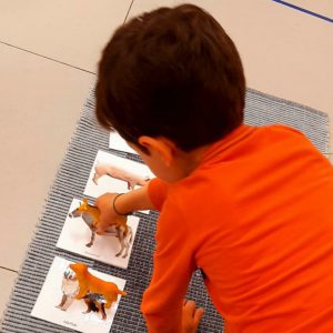 Nel Centro Montessori di Lecce l’idea di una “scuola personalizzata” e inclusiva: classi sostenibili ed educazione all’indipendenza - Corriere Salentino