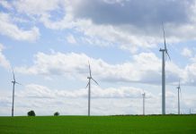 Politica - Corriere Salentino