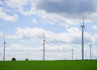Centinaio: “Non sfregiare Grecia Salentina con campo eolico”