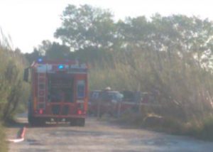 Vasto incendio minaccia l'oasi protetta de "Le Cesine", vento alimenta le fiamme: si contano i danni - Corriere Salentino