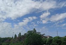 Ambiente - Corriere Salentino