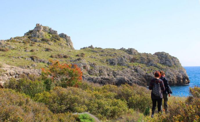 Santa Maria al Bagno, riapre l'Acquario del Salento e ripartono i percorsi di minitrekking - Corriere Salentino