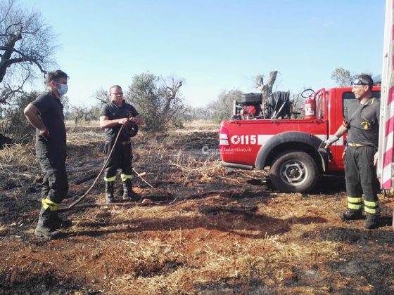 Tragico ritrovamento: 70enne senza vita nella sua campagna. Disposta autopsia - Corriere Salentino