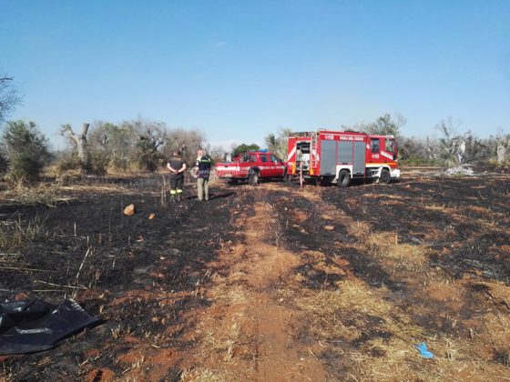 Tragico ritrovamento: 70enne senza vita nella sua campagna. Disposta autopsia - Corriere Salentino