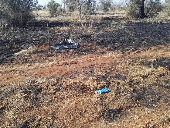 Tragico ritrovamento: 70enne senza vita nella sua campagna. Disposta autopsia - Corriere Salentino