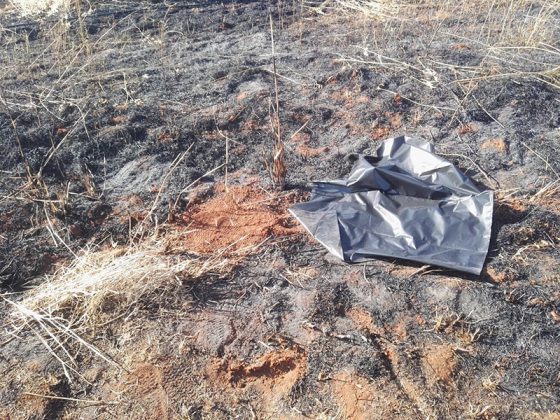 Tragico ritrovamento: 70enne senza vita nella sua campagna. Disposta autopsia - Corriere Salentino