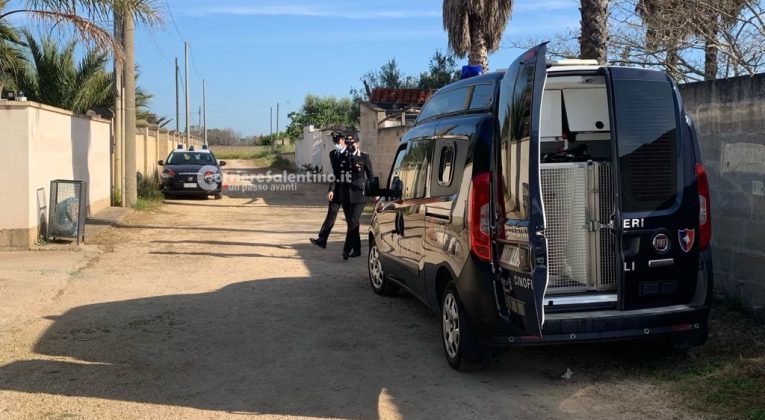 Agguato al carabiniere, in mattinata nuovo sopralluogo: si cerca nei campi l'arma del delitto - Corriere Salentino