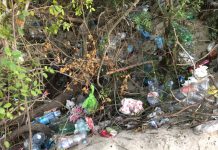 Ambiente - Corriere Salentino