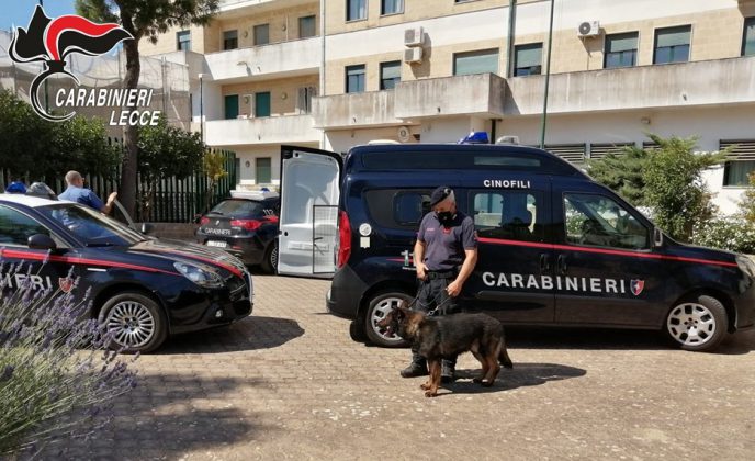 Il fiuto di Faider non fallisce: scovato mezzo chilo di hashish, due giovani finiscono ai domiciliari - Corriere Salentino