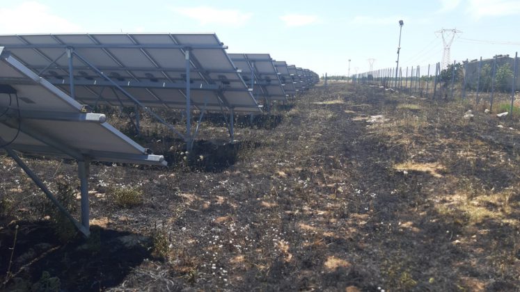 Divampano le fiamme, fuoco minaccia campo fotovoltaico: scongiurati danni ingenti - Corriere Salentino