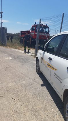 Divampano le fiamme, fuoco minaccia campo fotovoltaico: scongiurati danni ingenti - Corriere Salentino