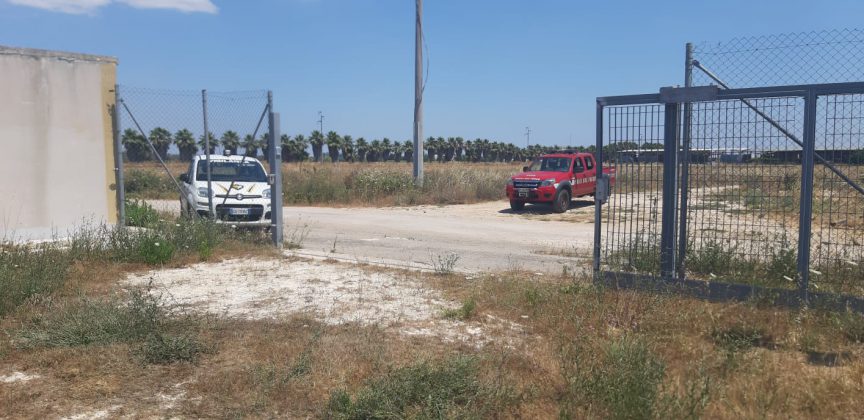 Divampano le fiamme, fuoco minaccia campo fotovoltaico: scongiurati danni ingenti - Corriere Salentino