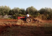 Festival di Sanremo - Corriere Salentino