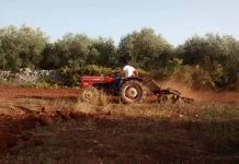 Politica - Corriere Salentino