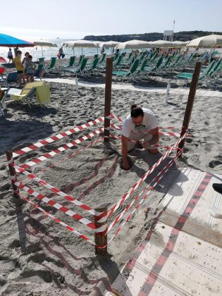 Dopo 15 anni la Caretta caretta torna a nidificare a Torre dell’Orso: primo nido dell’estate 2021 - Corriere Salentino