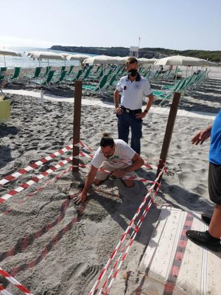 Dopo 15 anni la Caretta caretta torna a nidificare a Torre dell’Orso: primo nido dell’estate 2021 - Corriere Salentino