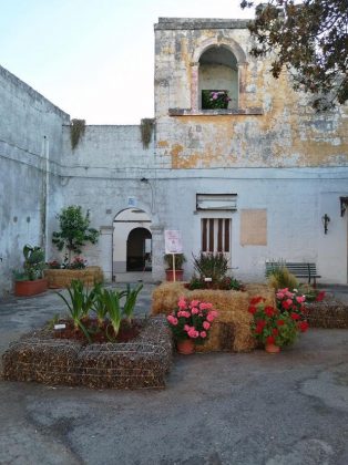 Corsano in Fiore: sboccia la bellezza nel centro storico - Corriere Salentino