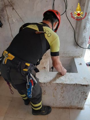 Cade in una cisterna profonda 15 metri: gatto salvato dai vigili del fuoco - Corriere Salentino