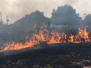 Caldo africano, il Salento continua a bruciare. Malore per due vigili del fuoco - Corriere Salentino