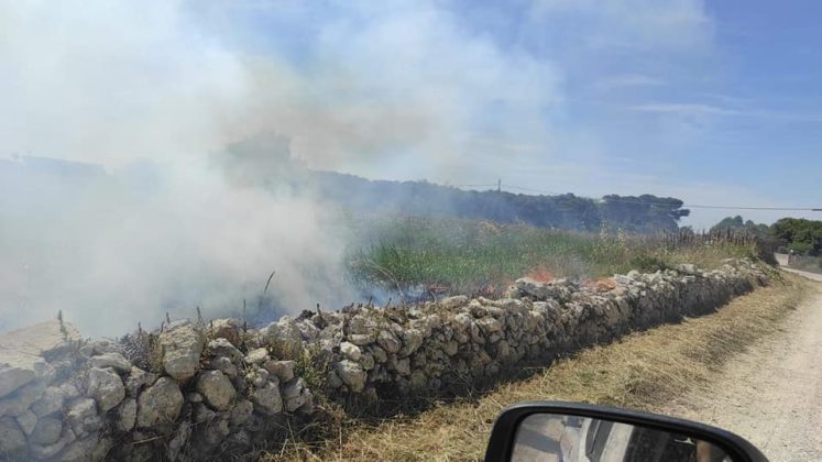 Altra domenica infernale in Salento: esplodono gli incendi. E anche i vigili urbani spengono il fuoco - Corriere Salentino