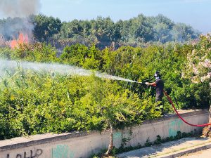 Ancora una giornata "rovente" nel Salento: brucia la pineta a San Basilio, necessario l'intervento del Canadair - Corriere Salentino
