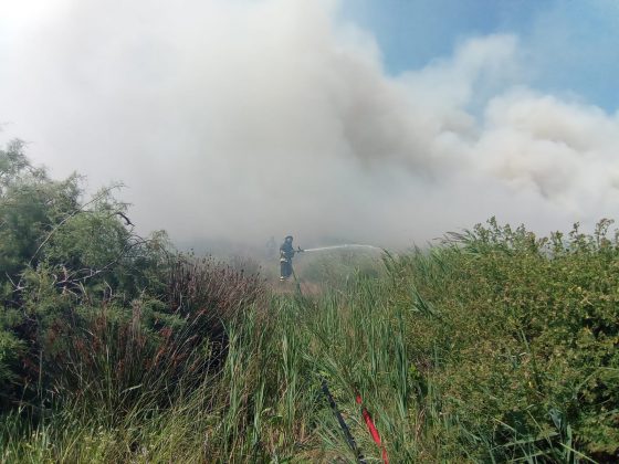 Giornata rovente, incendi in tutto il Salento. Le fiamme divorano ettari di macchia, in azione canadair - Corriere Salentino