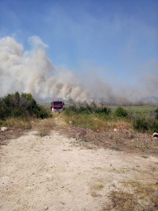 Giornata rovente, incendi in tutto il Salento. Le fiamme divorano ettari di macchia, in azione canadair - Corriere Salentino