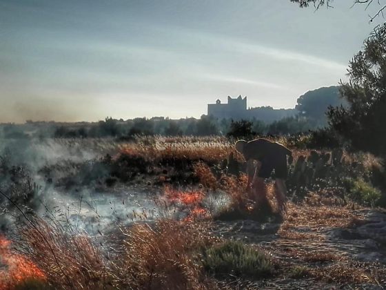 Giornata rovente, incendi in tutto il Salento. Le fiamme divorano ettari di macchia, in azione canadair - Corriere Salentino