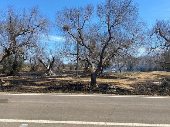 Appicca fuoco nel suo terreno, ma viene raggiunto dalle fiamme e muore carbonizzato - Corriere Salentino