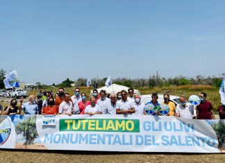 Mrs in campo, un atto di dignità per i tronchi degli ulivi colpiti dalla Xylella